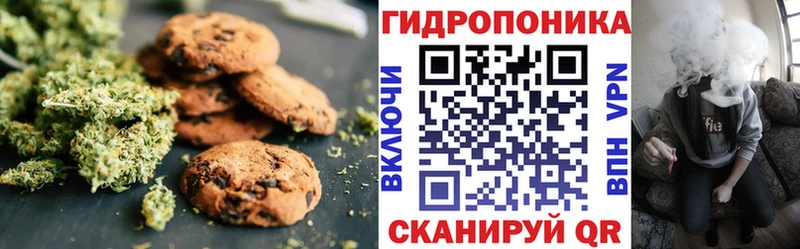 где продают наркотики  Красково  Печенье с ТГК конопля 