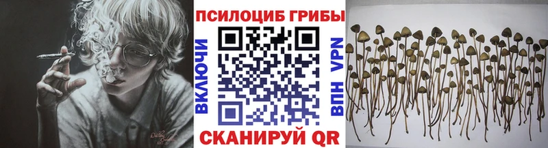 Галлюциногенные грибы мицелий  darknet наркотические препараты  Красково 