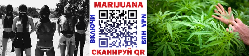 Канабис ГИДРОПОН  Красково 